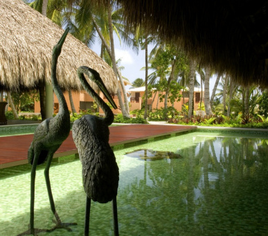 Photo Sivory Punta Cana (Доминиканская Республика, Пунта Кана) 22