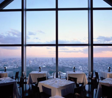 Фото Park Hyatt Tokyo (Япония, Токио) 19