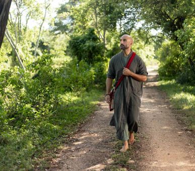Photo Elephant Corridor (Шри Ланка, Cигирия) 15
