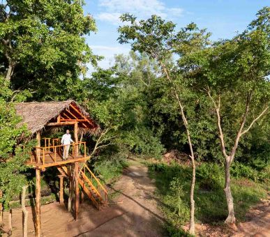 Photo Elephant Corridor (Шри Ланка, Cигирия) 8