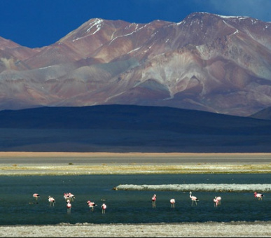 Photo Hosteria Awasi San Pedro de Atacama (Чили, Атакама) 6