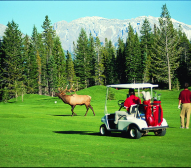 Фото The Fairmont Banff Springs (Канада, Банфф, штат Альберта) 40