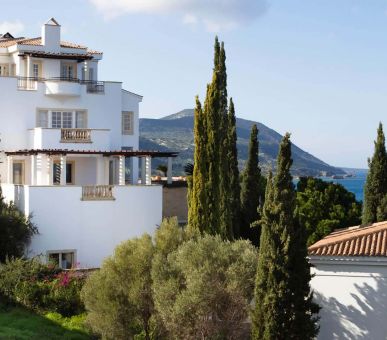 Anassa