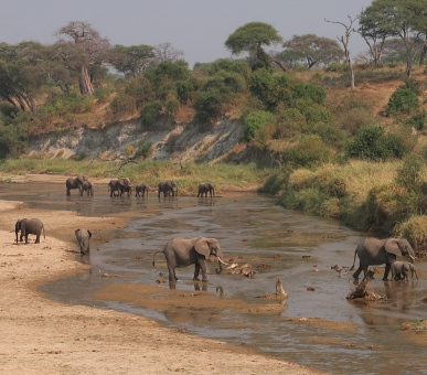 The most popular parks and reserves of Tanzania