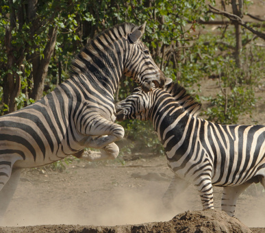 Botswana