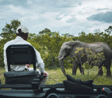 Classic safari: Cape Town, Kruger National Park and Victoria Waterfall