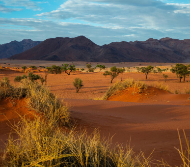 Luxury Tour in Namibia