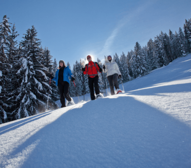 Winter vacations to LES FERMES DE MARIE Megeve