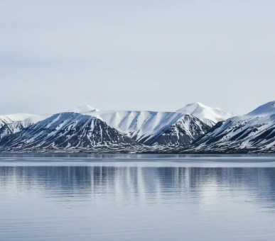 SOUTH GEORGIA, THE FALKLAND ISLANDS AND ANTARCTICA