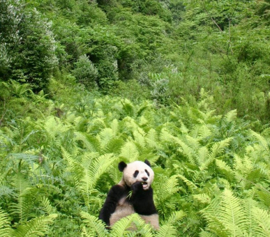 The Grand Tour of China