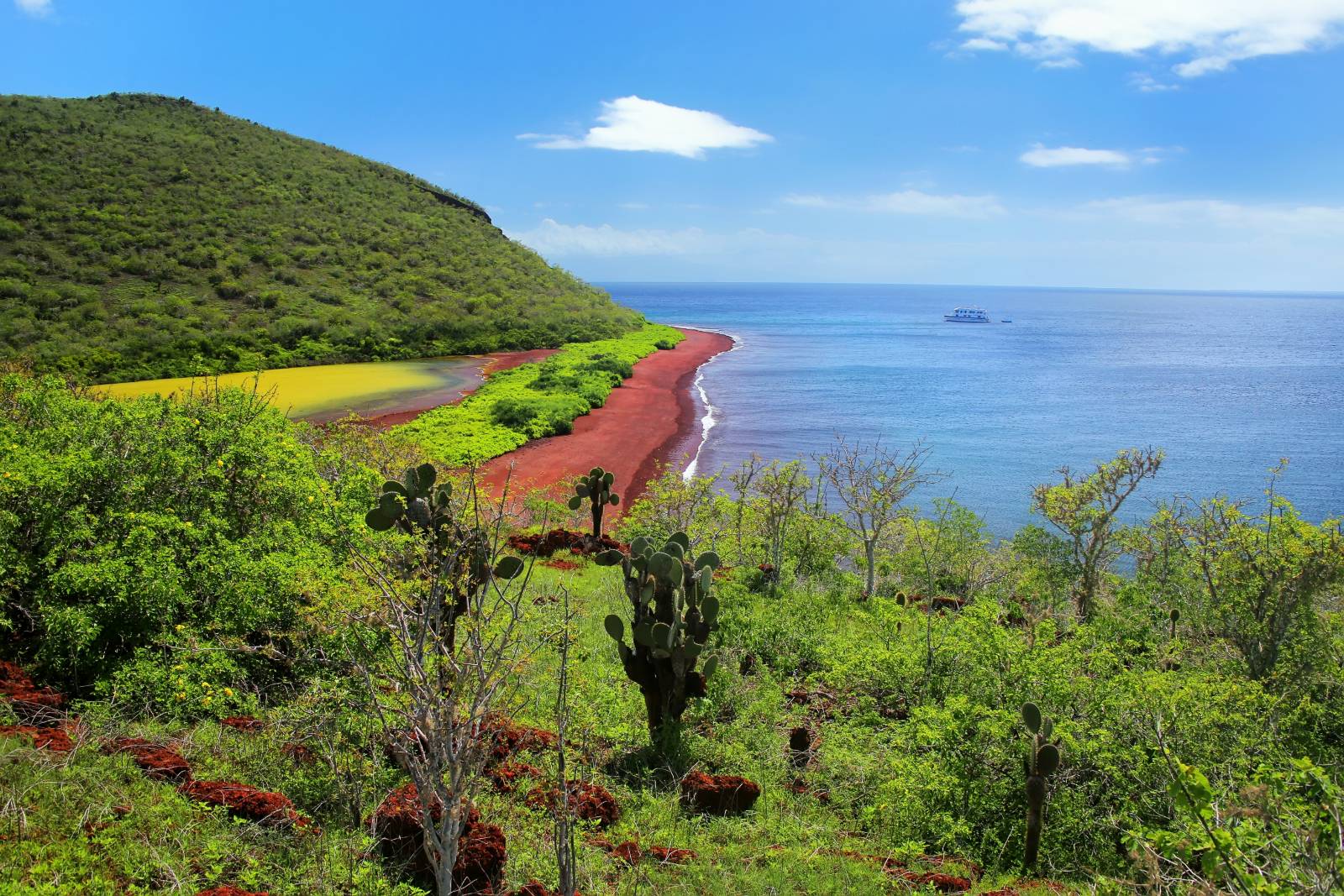 Voyages at Sea: Time to Plan